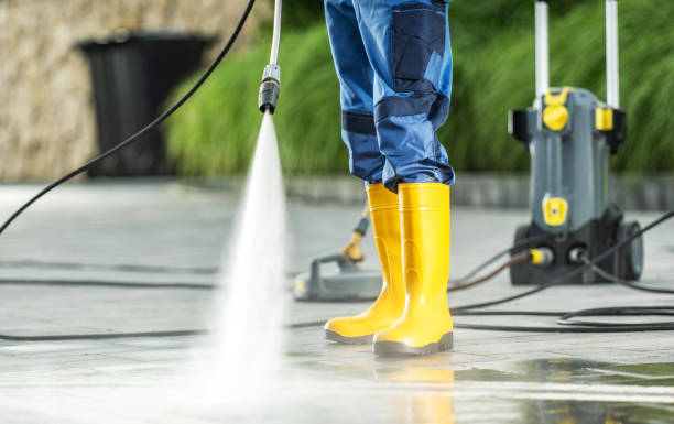 Best Pressure Washing Company Near Me  in Lowes Island, VA